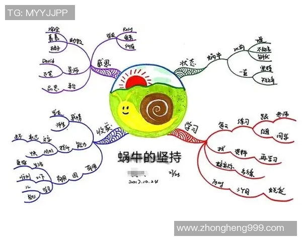 张宁的奋斗历程与人生哲学：从平凡到卓越的心路历程与启示